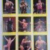 Cardinal WWF Wrestling Trivia Game - Mint in Box 7