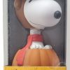 It's the Great Pumpkin, Charlie Brown Snoopy Bobble-Head from Funko 1