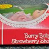 MIB 1984 Kenner Berry Baby Strawberry Shortcake : Factory Sealed 5