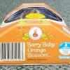 MIB 1984 Kenner Strawberry Shortcake Berry Baby Orange Blossom: Factory Sealed 3