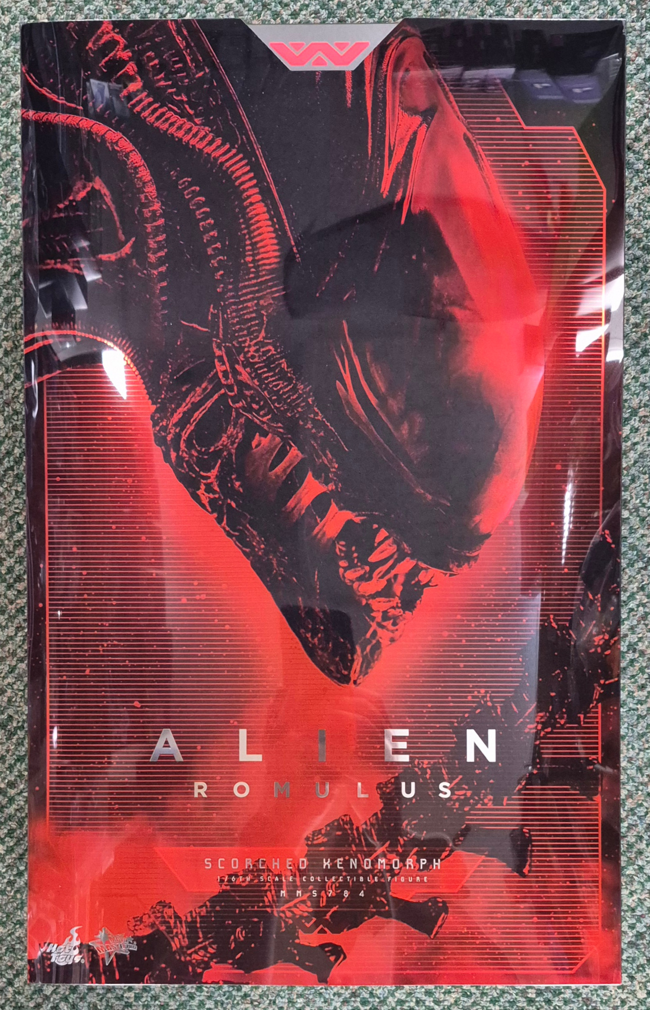 Hot Toys MMS784 Alien Romulus Scorched Xenomorph 1:6 Scale Figure 1